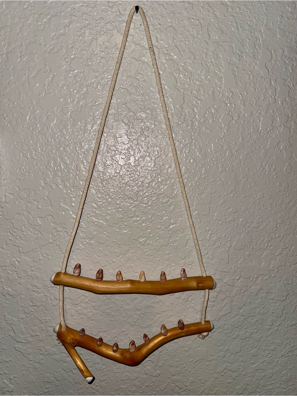 Driftwood And Rope Wall Hanging With Seashell Hooks For Jewelry